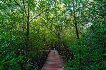 Happy little boy enjoy travel in mangrove forest wooden walk way outdoor