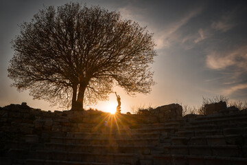 silhouette of a woman doing yoga next to a large tree
