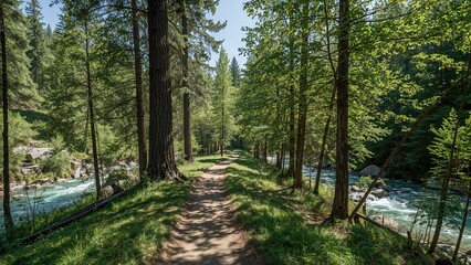 Fototapeta premium Green forest path beside river and rocks on an eco trail