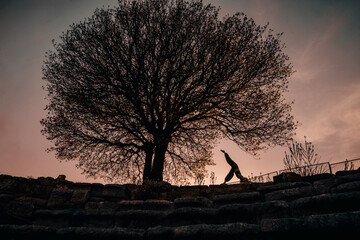 silhouette of a woman doing yoga next to a large tree
