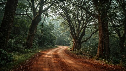 Unpaved trail through forest ideal for adventure activities in Asia