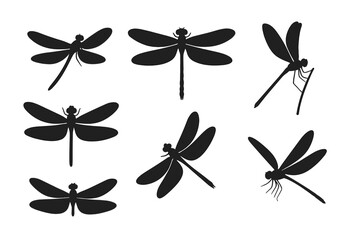 Dragonfly silhouettes collection in flight, resting, perched poses isolated on transparent background, insect vector illustration set for wildlife design, pattern decoration