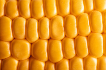 Macro shot of fresh yellow corn kernels showing vibrant texture and color in detail.