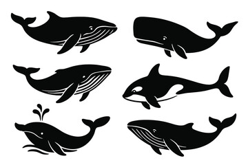 Whale silhouette collection vector set. Marine animal icons for logo design. Orca, humpback, sperm whale black graphic illustrations isolated on white background.