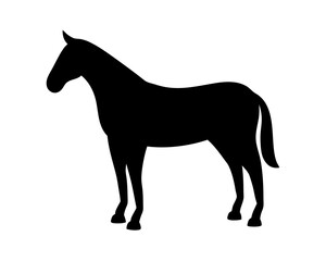 Simple, striking silhouette of a beautiful black horse on a white backdrop