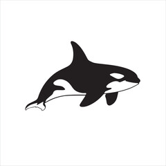 Fototapeta premium Stylized black and white orca killer whale illustration