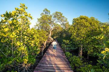 Happy little boy enjoy travel in mangrove forest wooden walk way outdoor
