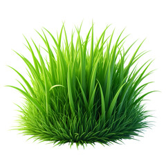 Obraz premium Lush Green Grass Clump isolated on transparent background