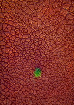 Aerial view of a cracked, rust-colored earth, punctuated by a startling patch of vibrant green, creating a stark contrast in texture and tone, Ninh Thuan, Ninh Thu&aacute;&ordm;&shy;n, Vietnam.
