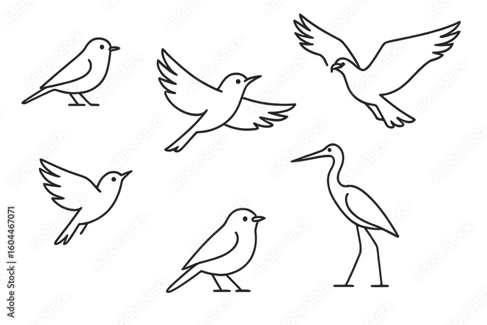 Poster bird icon set in a minimalist line art style. collection of various birds like dove, heron, and spar