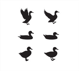 silhouettes of birds vector