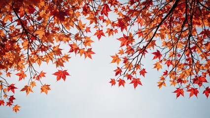 Vibrant fall foliage spectacle