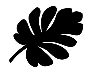 Silhouette of a Lush Leaf with Multiple Lobes and a Distinct Stem