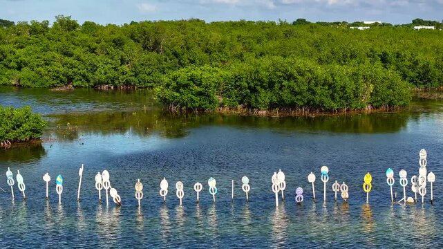 Aerial view of waterway markers in the water with lush green trees in the background creating a vibrant contrast, Islamorada, Florida, United States.