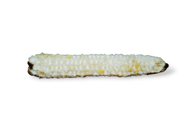 corn on the cob