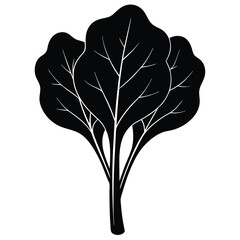 Nutritionist element isolated spinach on white background