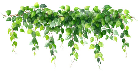 Realistic Watercolor Painting of Lush Green Leaves and Vines