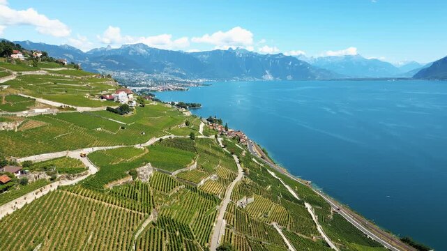Aerial drone shot of Lake Geneva and Lavaux terraced vineyards during the day in Chexbres, canton of Vaud, Switzerland