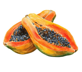 Freshly Sliced Papaya Illustration with Seeds and Vibrant Colors