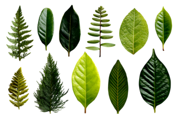 Cute newborn crochet shoes in light pink with rounded toe and detailed stitching, isolated on transparent background