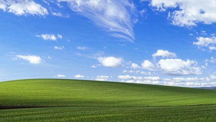Obraz premium An abstract wide-angle view showcasing lush grass, ancient stone arches, and soft white clouds under a vibrant blue sky. Leading-edge simplicity in display design