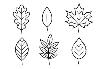 Autumn leaves set outline. Simple doodle leaf collection. Line art icons for coloring book. Hand drawn vector illustration. Oak, maple, ash foliage. Minimalist nature symbols.