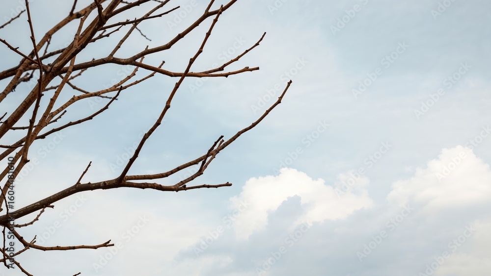 Poster background featuring tree branch patterns