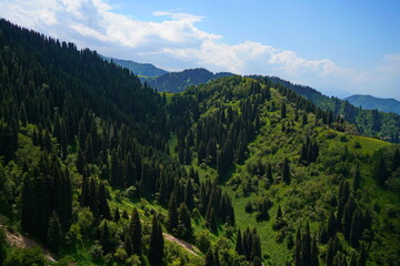 Ile-Alatau National Park. The Oi-Karagai Gorge. Mountainous area with different vegetation. The view from the drone.