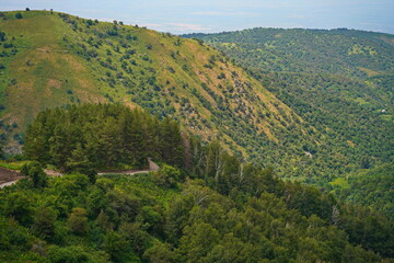 Ile-Alatau National Park. The Oi-Karagai Gorge. Mountainous area with different vegetation. The view from the drone.
