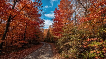 Naklejka premium A beautiful walkway twisting through a colorful forest with trees glowing in bright shades against a clear azure sky.