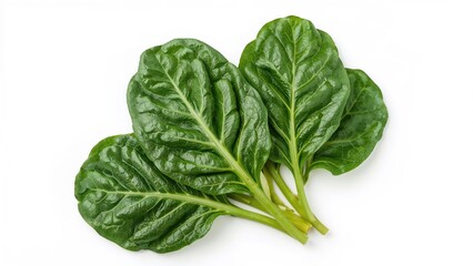 Fototapeta premium Fresh spinach leaves isolated on a white backdrop