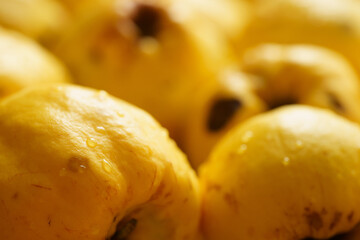 Luscious yellow quinces arranged closely together showcasing their smooth skin and natural shine