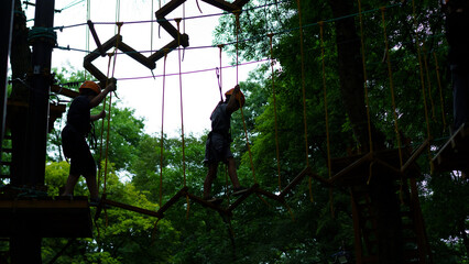 Fototapeta premium Adventure seekers navigate challenging ropes course suspended in trees during bright afternoon hours