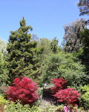 Summer landscape with istaires n the park