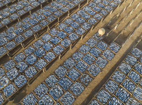 Aerial view of rows of drying fish basking under the sun, creating a textured pattern of silver and beige, Nha Trang, Vietnam.