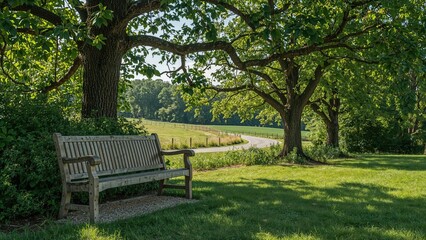 Wooden seating surrounded by greenery on a sunny summer afternoon