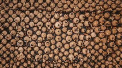 Top-down look at a heritage soy sauce fermentation site with numerous clay containers spread on the earth for soybean fermentation in sauce making.