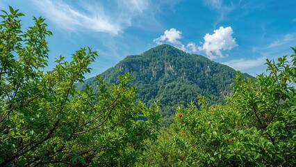 Fototapeta premium Trees with abundant green foliage and deciduous types in front of a mountain scene, combined with abstract floral textures and natural summer art