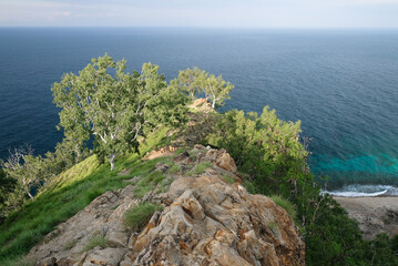 Green trees growing on the rocky hill near Cristo Rei Beach, Timor Leste