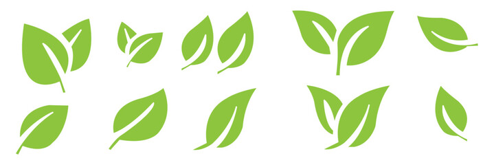 Green leaf icons set. Leaves icon on transparent background. Collection green leaf. Elements design for natural, eco, vegan, bio labels.