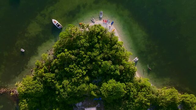 Aerial view of a lush green island with the clear waters of Biscayne Bay with boats docked along the sandy shore, Miami Beach, Florida, United States.