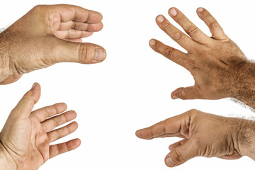 Close-up image of four male hands isolated on white background. Each hand displays different...
