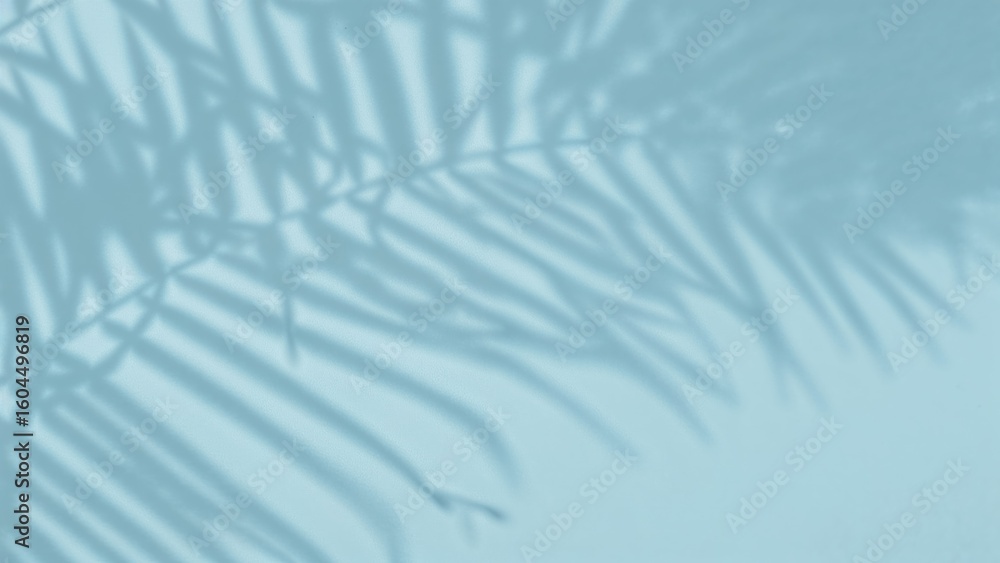 Poster soft shadow patterns of palm fronds on a pastel blue setting. great for product promotion. ample spa