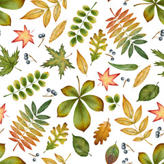 Seamless pattern of watercolor autumn leaves and berries on a white background. Perfect for textile design, wrapping paper, backgrounds, invitations, scrapbooking or seasonal digital projects