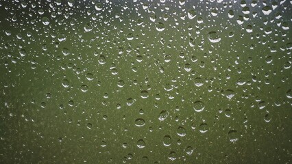 Water beads on transparent glass showcasing a leafy background
