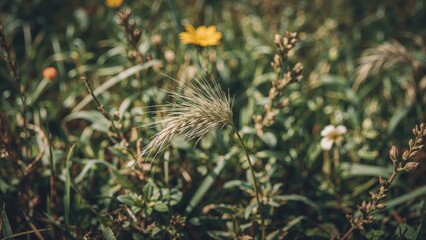 Old-fashioned look of grassy floral designs