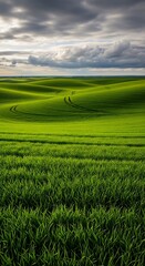 Lush green field under a cloudy sky.