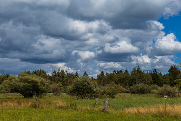 Landschaftsaufnahme einer Moorlandschaft mit Wolkenhimmel.