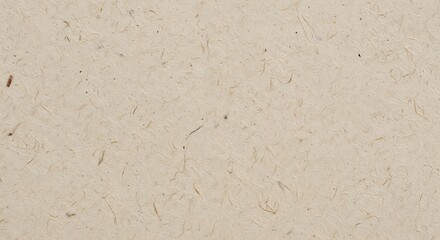 Close-up view of a light beige paper texture.