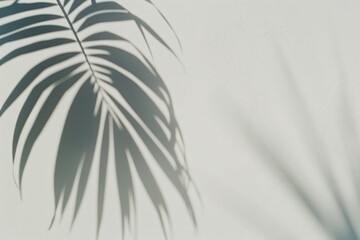Obraz premium Tropical leaf shadow minimalist design